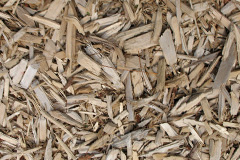 biomass boilers Riber