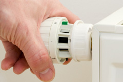 Riber central heating repair costs
