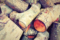 Riber wood burning boiler costs